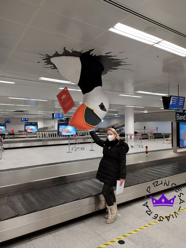 ORGANIZA UN VIAJE POR LIBRE A ISLANDIA