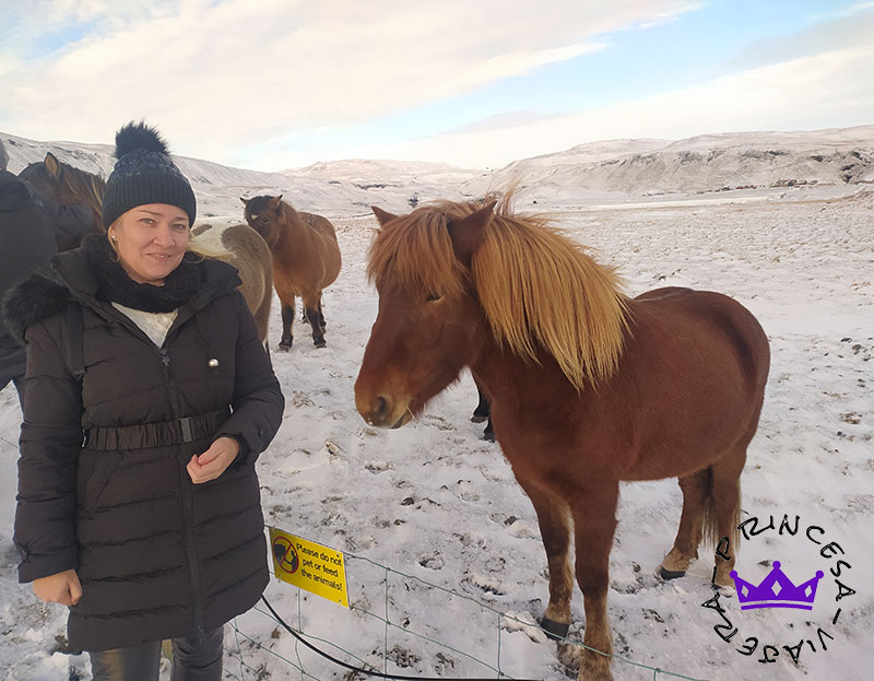 COMO SER UN VIAJERO RESPONSABLE EN ISLANDIA