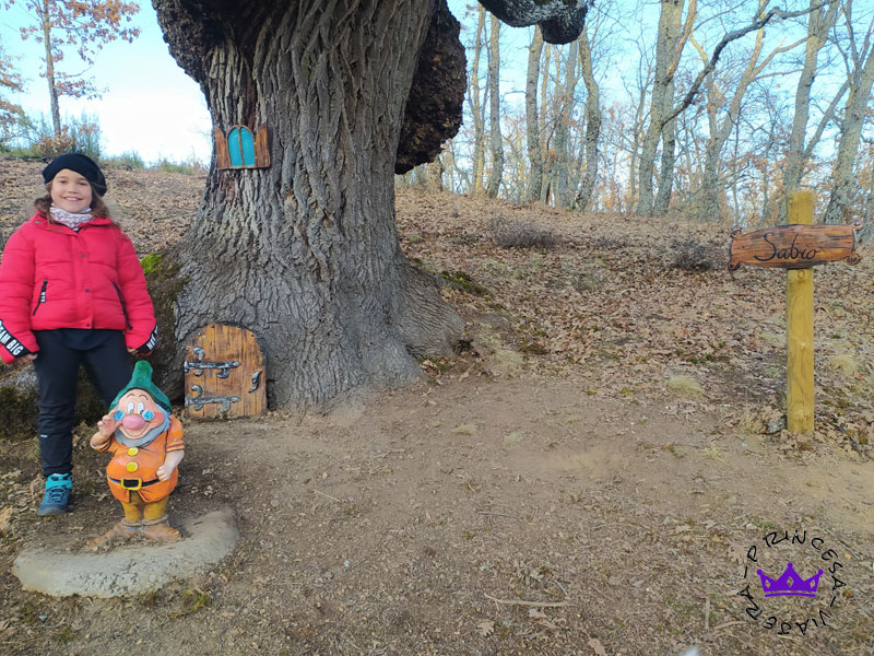 RUTA EL BOSQUE DE LOS ENANITOS EN ALMANZA
