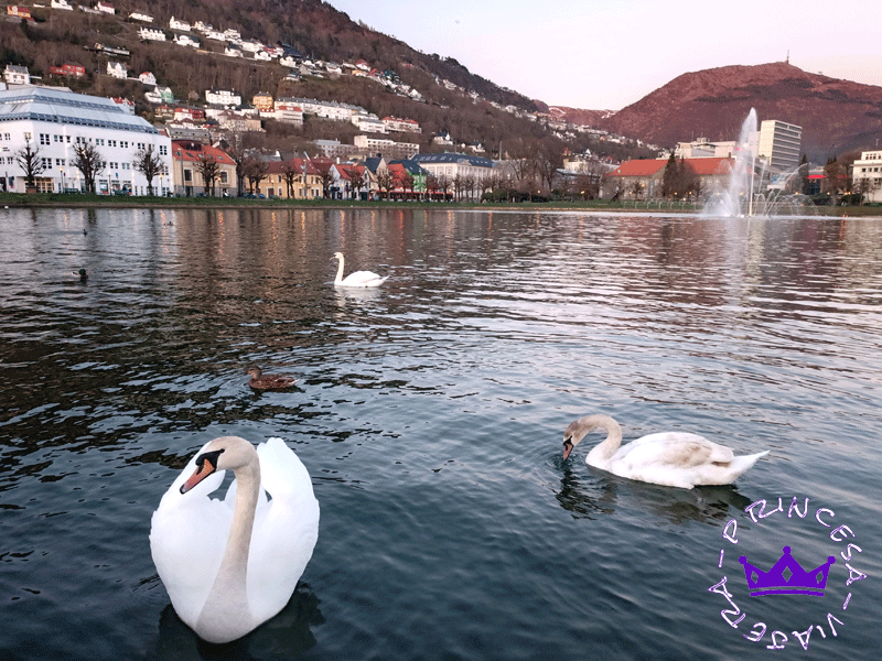 QUE VER EN BERGEN EN UN DÍA