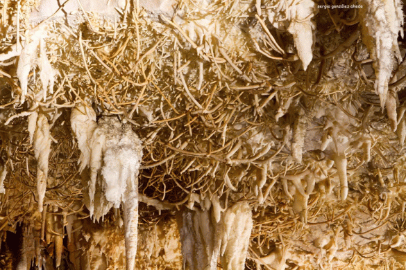 ESTALAGMITAS EXCENTRICAS EN LA CUEVA DE POZALAGUA