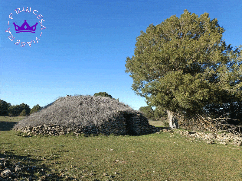 ECOTURISMO EN EL PARQUE NATURAL DEL ALTO TAJO
