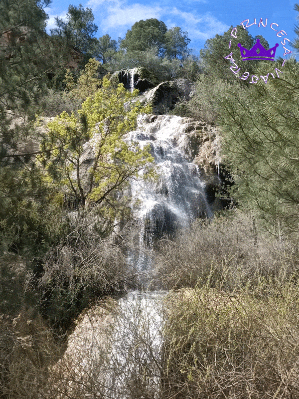 ECOTURISMO EN EL PARQUE NATURAL DEL ALTO TAJO