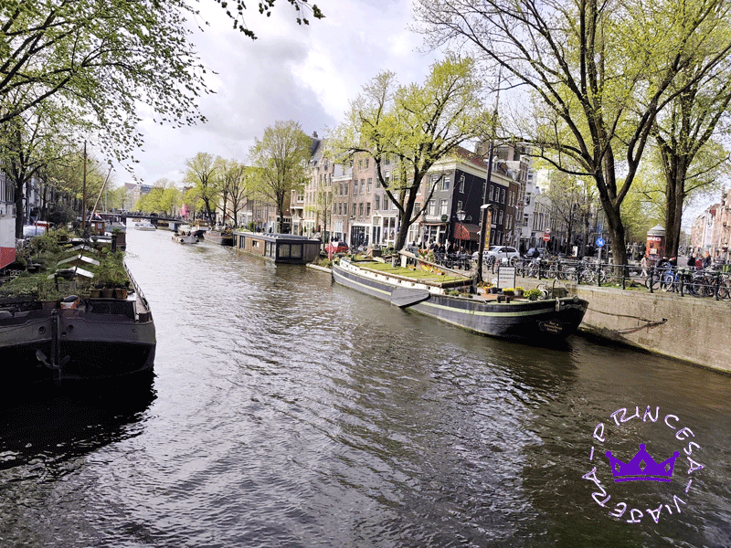 ¿Merece la pena la I Amsterdam Card en 2026?