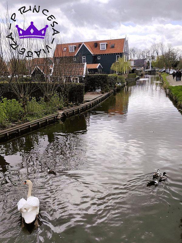 Excursión a Zaanse Schans, Edam, Volendam y Marken desde Ámsterdam en español