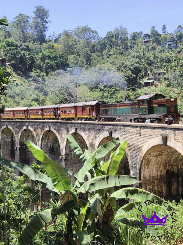 VIAJE GRUPAL A SRI LANKA EN JULIO 2027