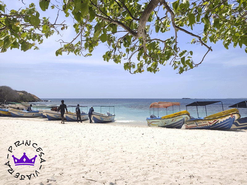 VIAJE GRUPAL A SRI LANKA EN JULIO 2027