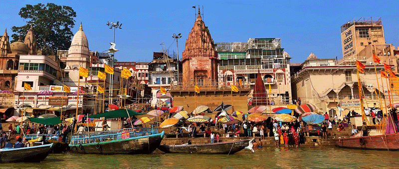 VIAJE GRUPAL A INDIA 2027